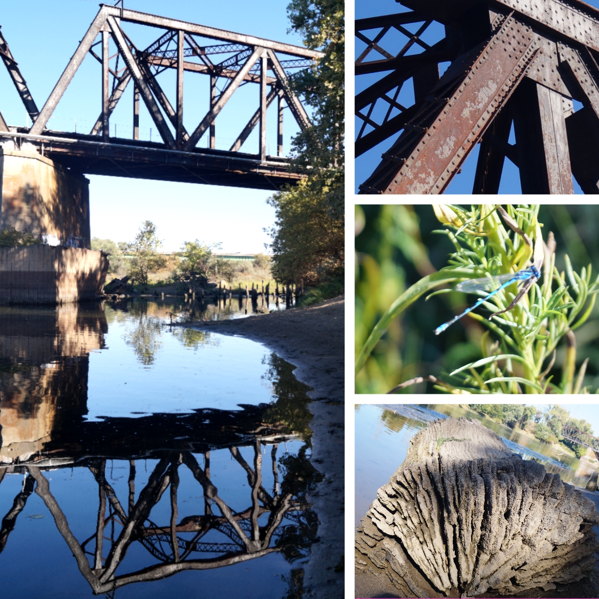 jpeg-sutters-landing