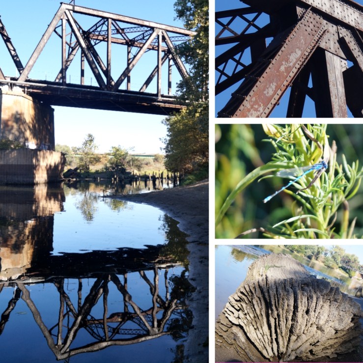 jpeg-sutters-landing